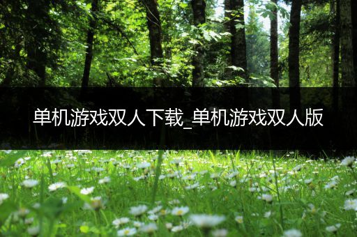 单机游戏双人下载_单机游戏双人版