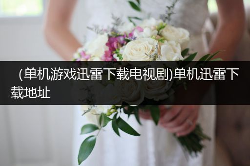 （单机游戏迅雷下载电视剧)单机迅雷下载地址