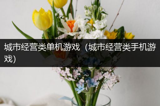 城市经营类单机游戏（城市经营类手机游戏）