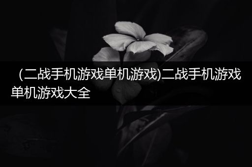 （二战手机游戏单机游戏)二战手机游戏单机游戏大全