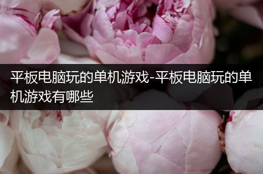 平板电脑玩的单机游戏-平板电脑玩的单机游戏有哪些