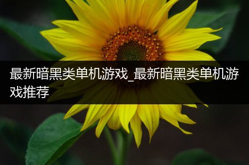 最新暗黑类单机游戏_最新暗黑类单机游戏推荐