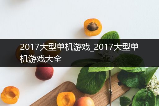 2017大型单机游戏_2017大型单机游戏大全