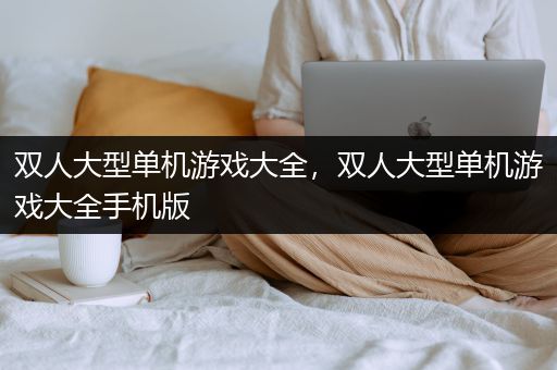 双人大型单机游戏大全，双人大型单机游戏大全手机版