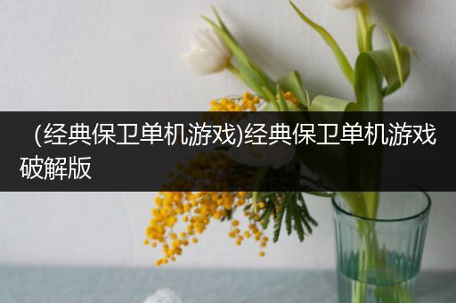 （经典保卫单机游戏)经典保卫单机游戏破解版