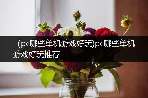 （pc哪些单机游戏好玩)pc哪些单机游戏好玩推荐