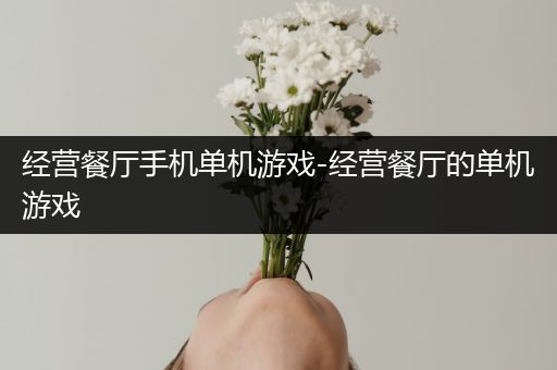 经营餐厅手机单机游戏-经营餐厅的单机游戏