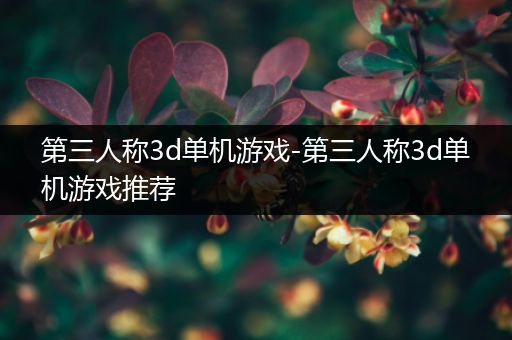 第三人称3d单机游戏-第三人称3d单机游戏推荐