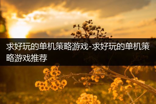 求好玩的单机策略游戏-求好玩的单机策略游戏推荐