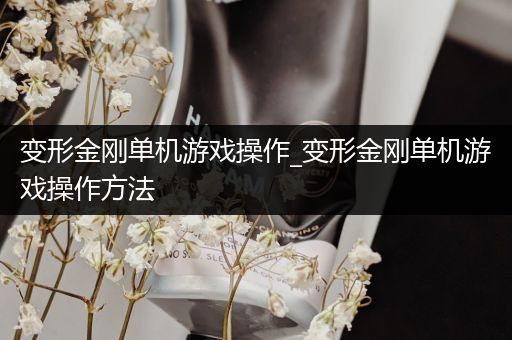 变形金刚单机游戏操作_变形金刚单机游戏操作方法