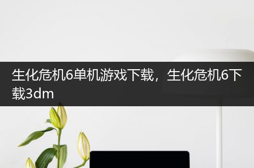 生化危机6单机游戏下载，生化危机6下载3dm