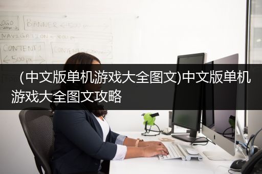 （中文版单机游戏大全图文)中文版单机游戏大全图文攻略