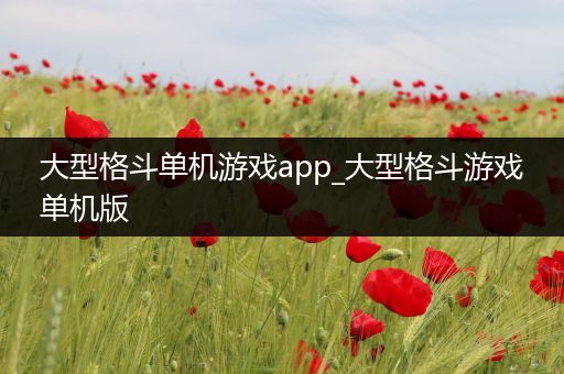 大型格斗单机游戏app_大型格斗游戏单机版