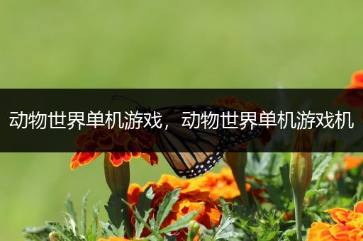 动物世界单机游戏，动物世界单机游戏机