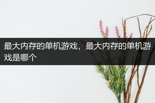 最大内存的单机游戏，最大内存的单机游戏是哪个