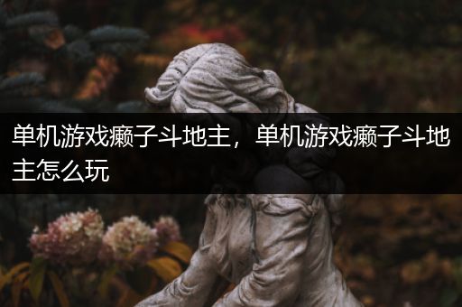单机游戏癞子斗地主，单机游戏癞子斗地主怎么玩