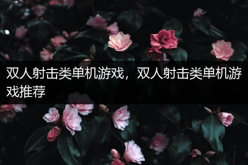 双人射击类单机游戏，双人射击类单机游戏推荐