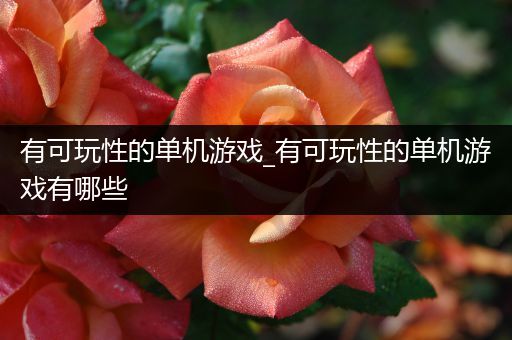 有可玩性的单机游戏_有可玩性的单机游戏有哪些