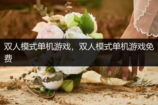 双人模式单机游戏，双人模式单机游戏免费