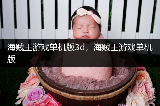 海贼王游戏单机版3d，海贼王游戏单机版