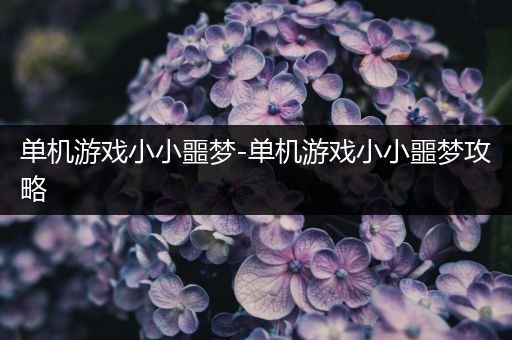 单机游戏小小噩梦-单机游戏小小噩梦攻略