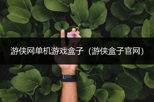 游侠网单机游戏盒子（游侠盒子官网）