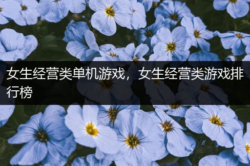 女生经营类单机游戏，女生经营类游戏排行榜