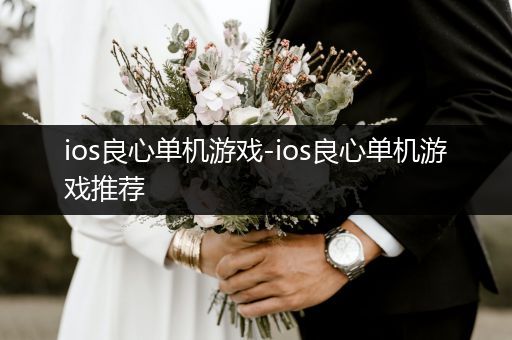 ios良心单机游戏-ios良心单机游戏推荐