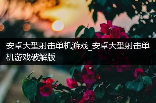 安卓大型射击单机游戏_安卓大型射击单机游戏破解版