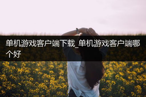 单机游戏客户端下载_单机游戏客户端哪个好
