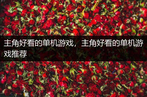 主角好看的单机游戏，主角好看的单机游戏推荐