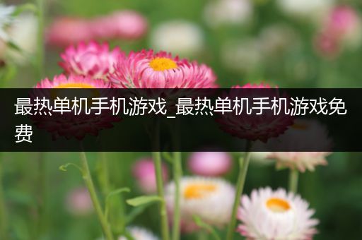 最热单机手机游戏_最热单机手机游戏免费
