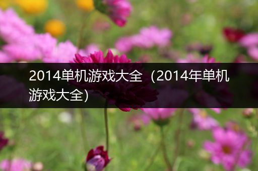 2014单机游戏大全（2014年单机游戏大全）