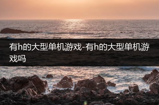 有h的大型单机游戏-有h的大型单机游戏吗
