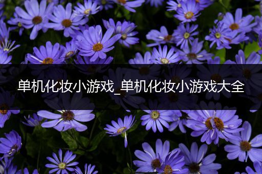 单机化妆小游戏_单机化妆小游戏大全
