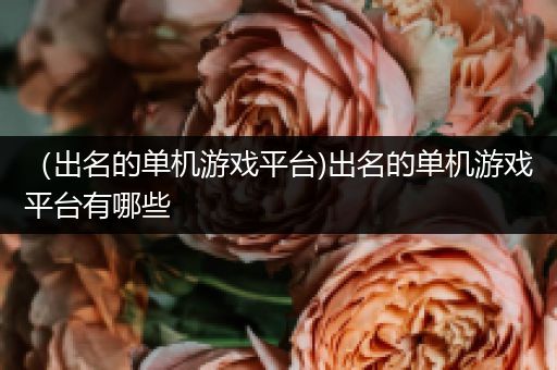 （出名的单机游戏平台)出名的单机游戏平台有哪些