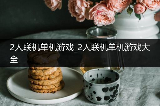 2人联机单机游戏_2人联机单机游戏大全