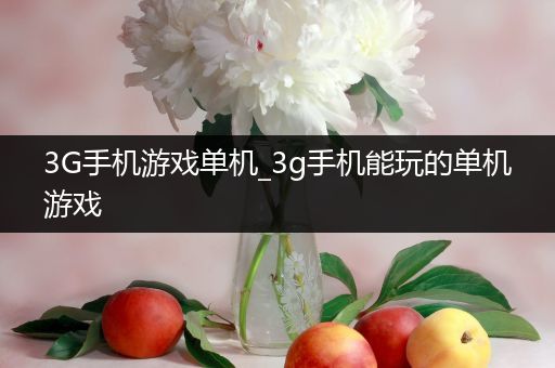 3G手机游戏单机_3g手机能玩的单机游戏