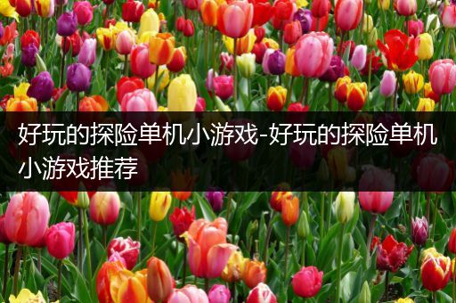 好玩的探险单机小游戏-好玩的探险单机小游戏推荐