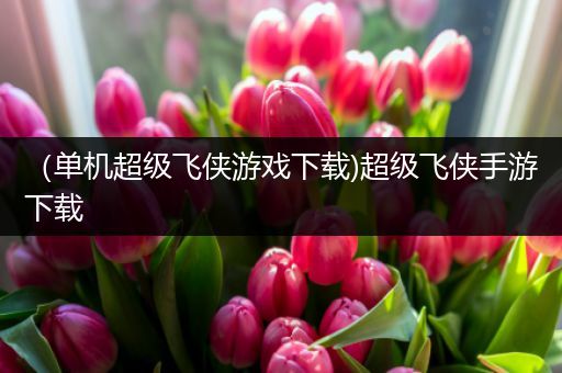 （单机超级飞侠游戏下载)超级飞侠手游下载