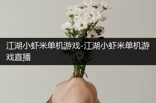 江湖小虾米单机游戏-江湖小虾米单机游戏直播