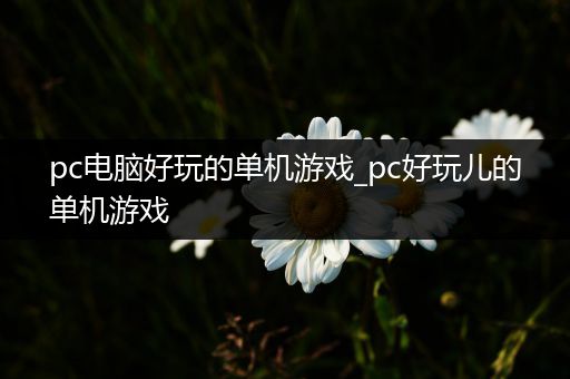 pc电脑好玩的单机游戏_pc好玩儿的单机游戏