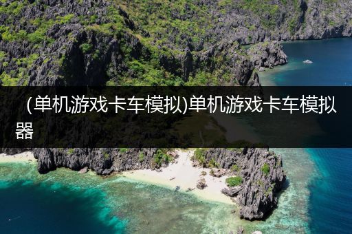 （单机游戏卡车模拟)单机游戏卡车模拟器