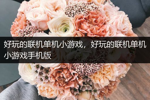 好玩的联机单机小游戏，好玩的联机单机小游戏手机版