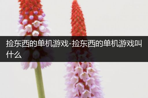 捡东西的单机游戏-捡东西的单机游戏叫什么