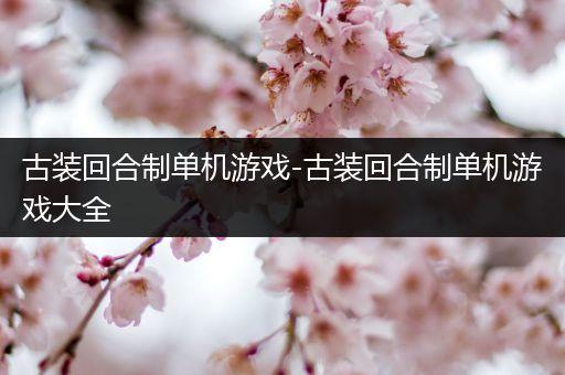 古装回合制单机游戏-古装回合制单机游戏大全
