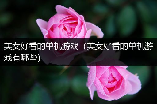 美女好看的单机游戏（美女好看的单机游戏有哪些）