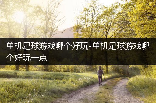单机足球游戏哪个好玩-单机足球游戏哪个好玩一点