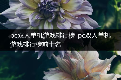 pc双人单机游戏排行榜_pc双人单机游戏排行榜前十名