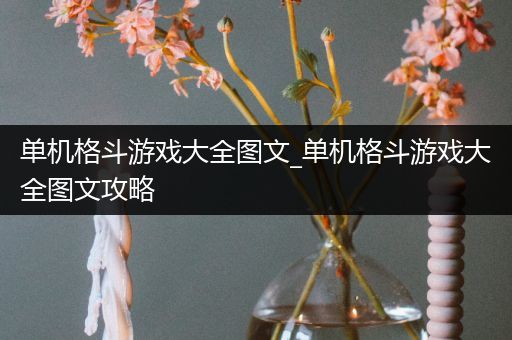 单机格斗游戏大全图文_单机格斗游戏大全图文攻略